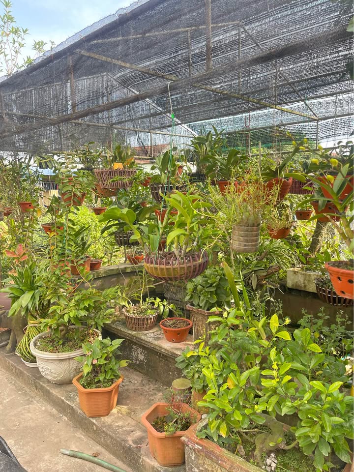 Nhà 1 tầng tại đường Phù Nghĩa, Nam Định 60m² giá chỉ 1.49 tỷ - Sẵn sàng vào ở ngay!