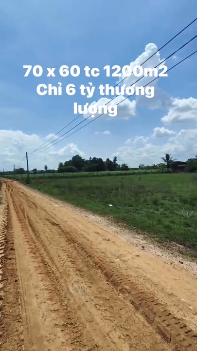 Đất nền Thái Bình, Châu Thành, Tây Ninh 4200m² giá chỉ 6 tỷ - Cơ hội đầu tư lý tưởng!