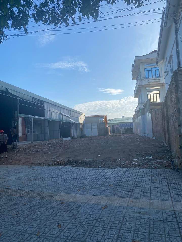 Bán đất mặt tiền đường Điện Biên Phủ 300m² - Gần chùa Tòa Thánh Tây Ninh!