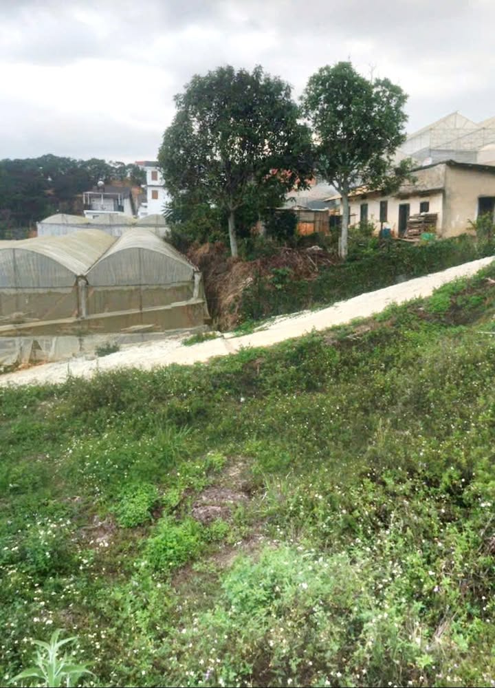 Đất nền Đà Lạt 72m² giá chỉ 2.6 tỷ - Pháp lý chuẩn, xây dựng thoải mái!