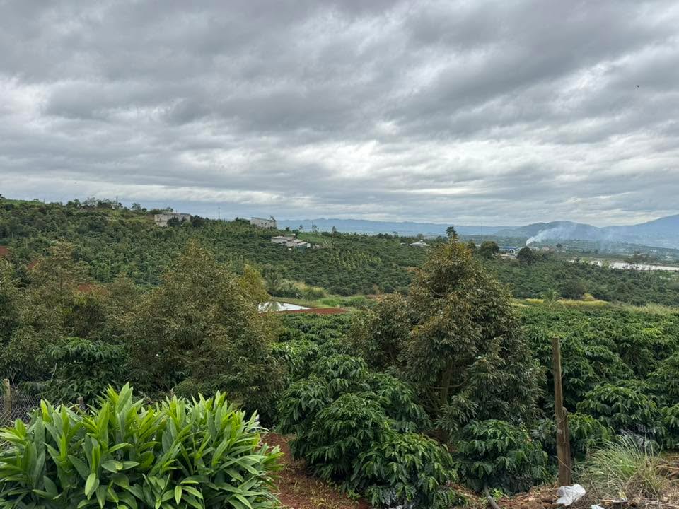 Đất thổ cư 2000m² tại Tân Hà, Lâm Hà - Giá 1.5 tỷ, nở hậu cực đẹp!