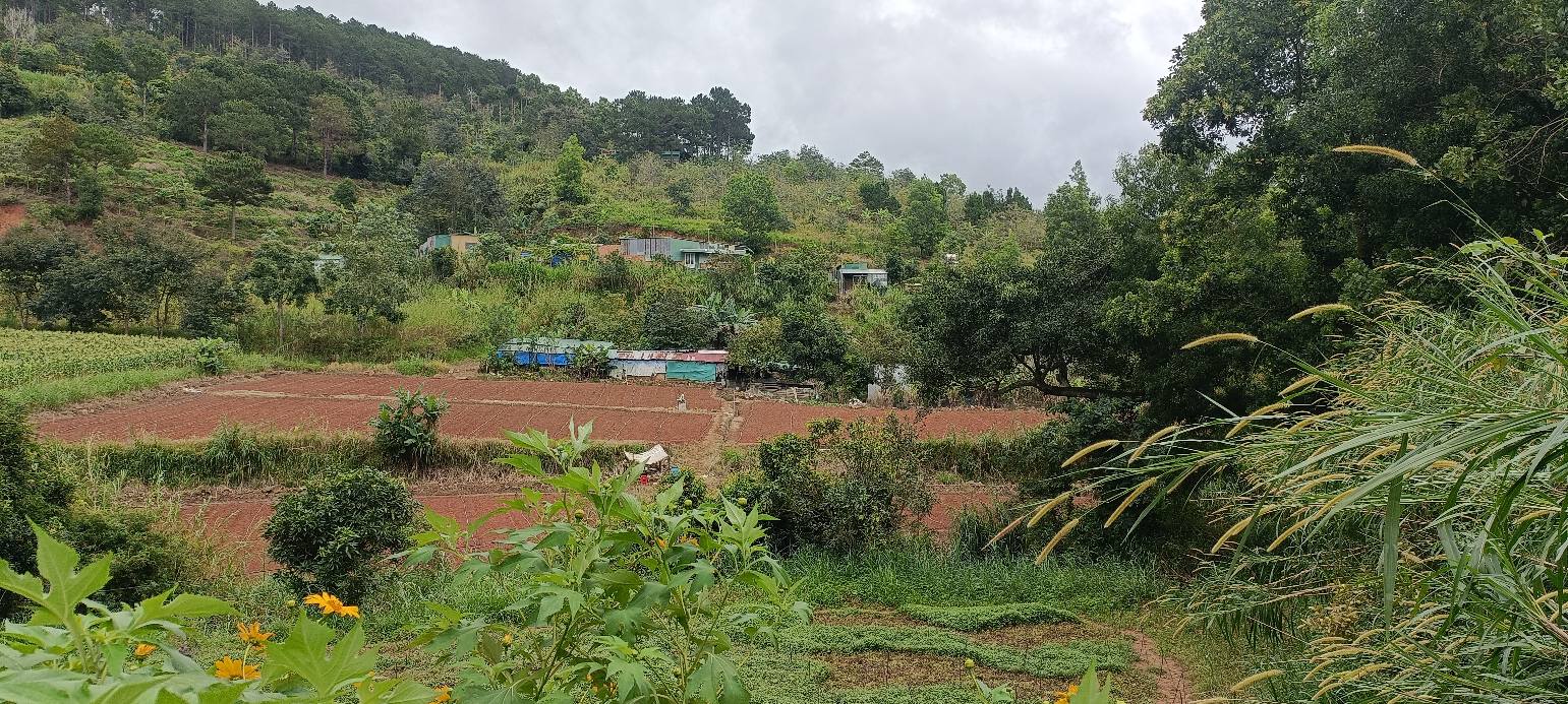 Đất 8 sào Hiệp Thạnh, Đức Trọng giá 12 tỷ - Cơ hội đầu tư tuyệt vời!