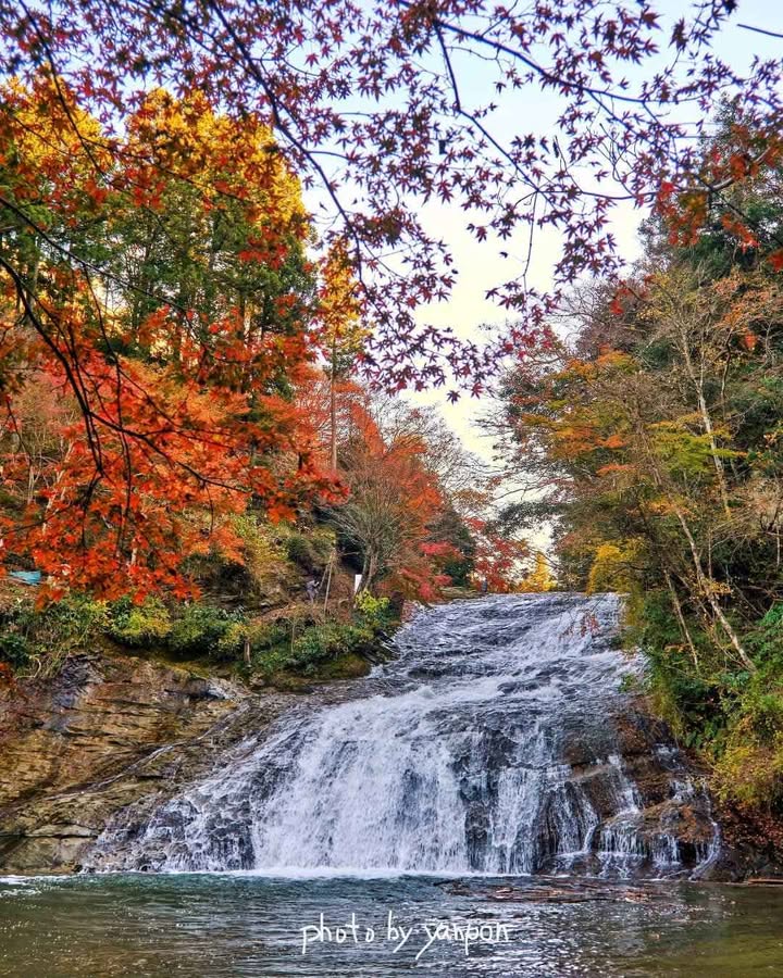 Đất 3 mặt tiền Lạc Dương 100m² giá 2.5 tỷ - Đầu tư sinh lời ngay!