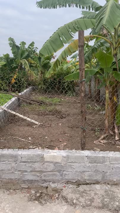 Đất Xâm Xuyên Hồng Vân Thường Tín 82m² giá 4 tỷ - Sổ đỏ chính chủ!