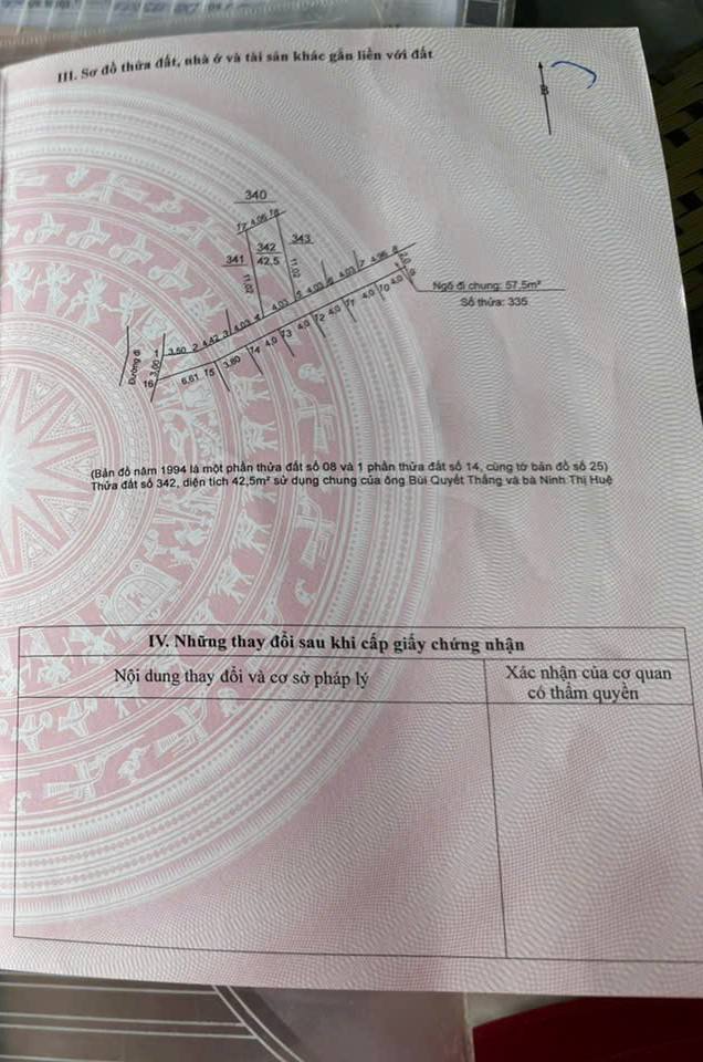 Đất nền chính chủ tại ngõ 11 Nguyệt Áng, Đại Áng 42.5m² - Đầu tư lý tưởng!