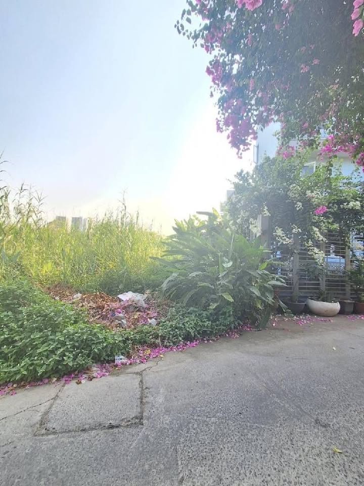 Lô đất Phước Kiển Nhà Bè 147m² giá 8 tỷ - Tiện xây biệt thự cao cấp!