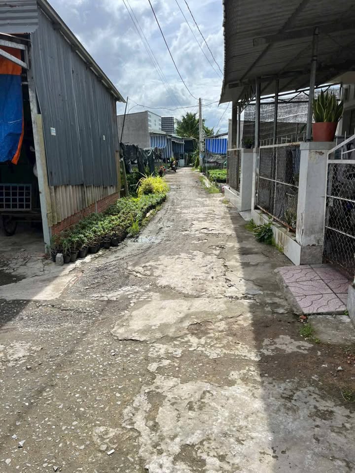 Nhà cấp 4 Tân Quy Đông 88m² giá 1.2 tỷ - Đường ô tô vào tận nơi!