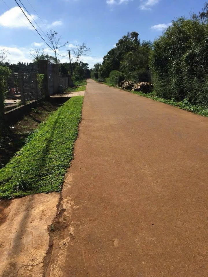 Đất nền Cư Bao 250m² giá 350 triệu - Sổ đỏ chính chủ, thương lượng nhẹ!