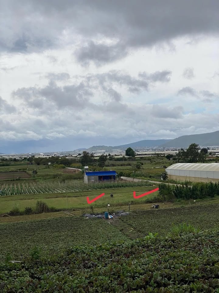 Đất nền Quảng Lập 1365m² giá 1.4 tỷ - Đầu tư sinh lời ngay!