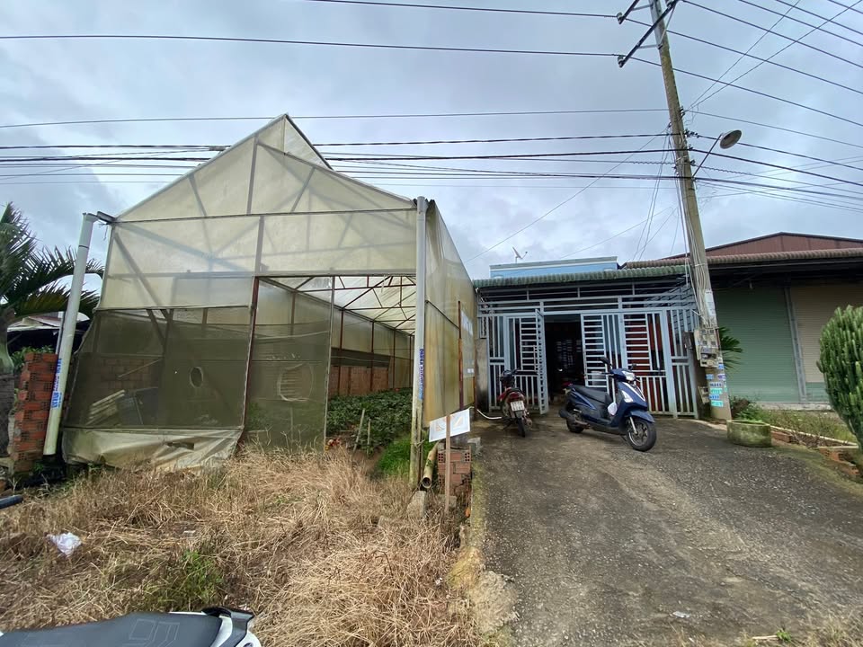 Đất chính chủ Thạnh Mỹ, Đơn Dương 600m² giá 3.6 tỷ - Sẵn nhà ở tiện nghi!