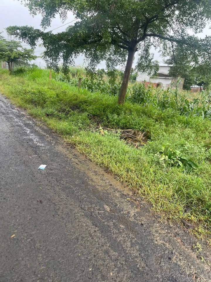 Đất nền Cư An, Ea Kar 150m² giá chỉ 3xx triệu - Cơ hội đầu tư tuyệt vời!