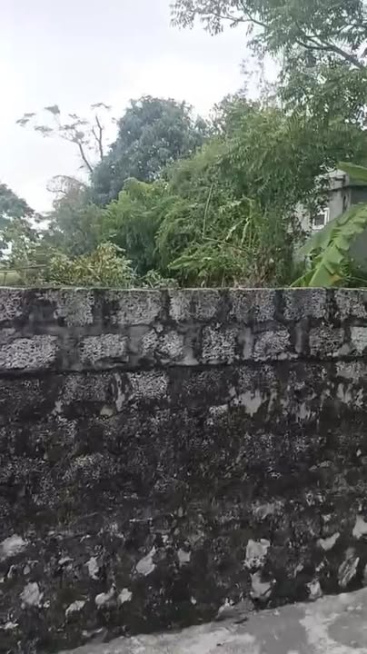 Đất nền Quỳnh Yên, huyện Quỳnh Lưu 196m² - Đường thông ô tô vào tận nơi!