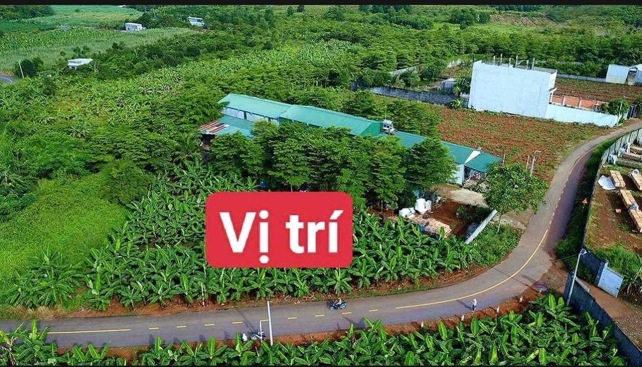 Đất mặt tiền nhựa 1.400m² xã Hưng Thịnh, Trảng Bom - Cách Quốc Lộ 1A chỉ 900m!