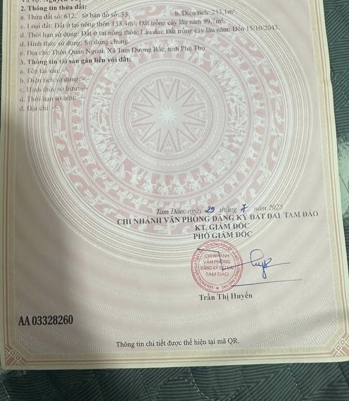 Đất kinh doanh tại chợ Tam Quan 233m² giá chỉ 1 tỷ - Cơ hội hiếm có!