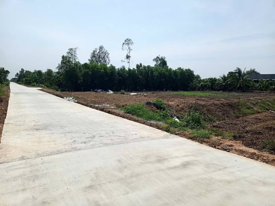 Đất thổ cư Tân Hiệp Thạnh Hóa 4387m² giá 4.9 tỷ - Mặt tiền rộng, vị trí đắc địa!