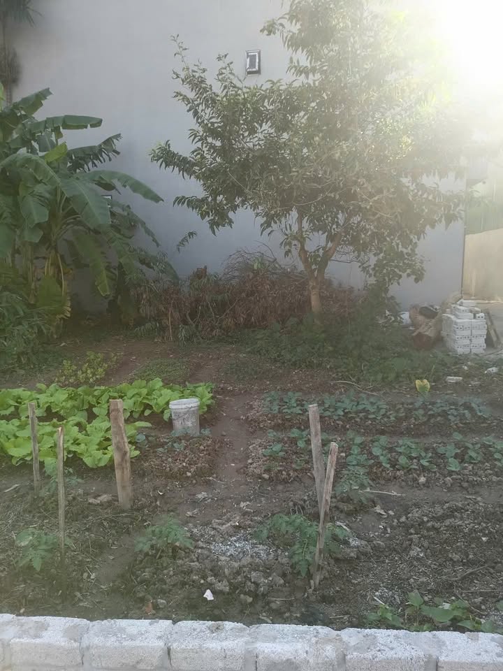 Đất nền đẹp tại Hồ Xuân Hương, Hải Dương - Giá 1.7 tỷ, sẵn sàng giao dịch!