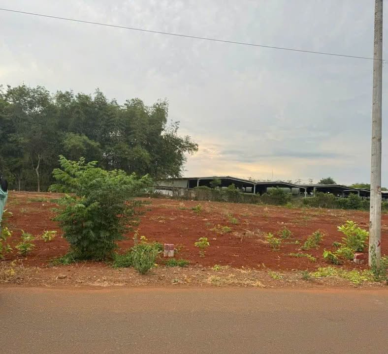 Đất nền Long Tân Đất Đỏ 220m² giá 800 triệu - Mặt tiền đường nhựa rộng rãi!