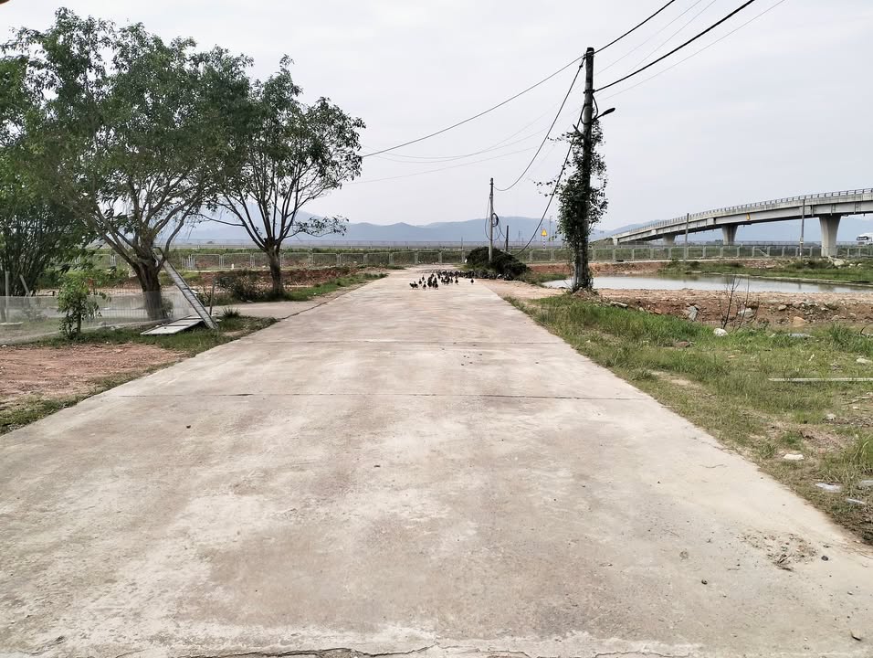 Đất quy hoạch tại Hà Huy Tập, Hà Tĩnh 218m² giá 2 tỷ - Cơ hội đầu tư hấp dẫn!