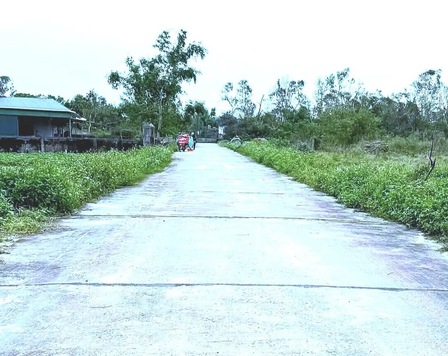 Đất Thạch Tri Hà Tĩnh 299m² giá chỉ 900 triệu - Đường thênh thang rộng rãi!