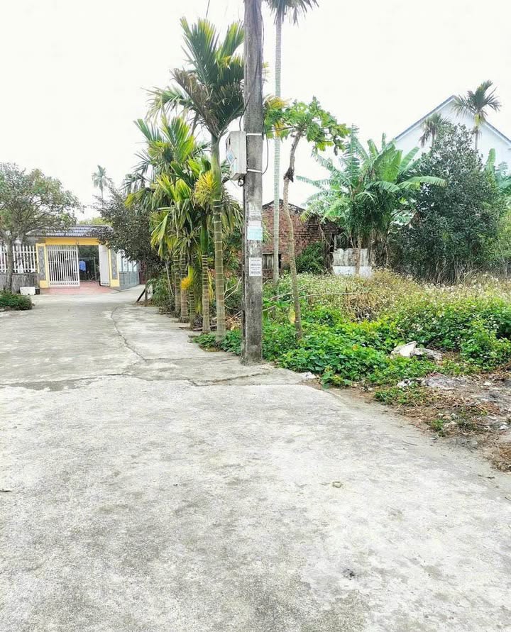 Đất nền xã Đông Cường, Đông Hưng 132,5m² - Giá cực hấp dẫn chỉ 5xx triệu!