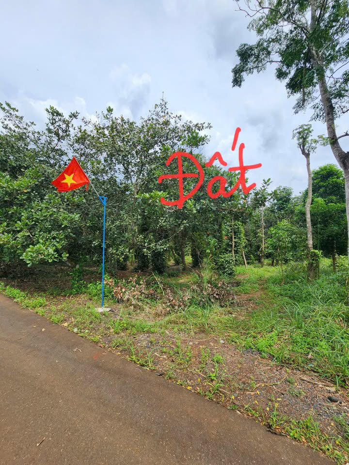 Đất mặt tiền xã Bàu Lâm 5860m² giá 4.8 tỷ - Cơ hội đầu tư không thể bỏ lỡ!