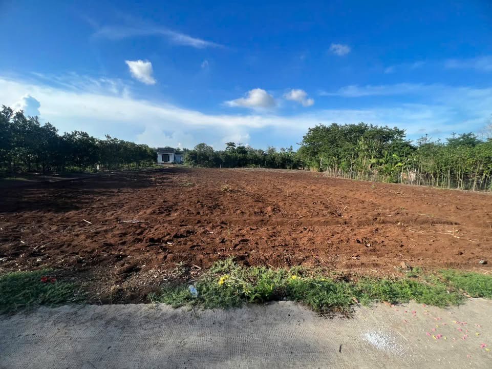 Đất nền xã Sông Ray, Cẩm Mỹ 3600m² giá 700 triệu - Cơ hội đầu tư tuyệt vời!