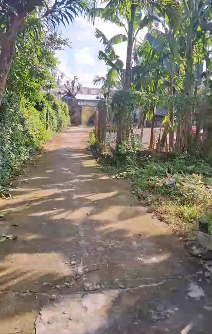 Đất Nghĩa Hà Quảng Ngãi 100m² giá 500 triệu - Cơ hội đầu tư hấp dẫn!