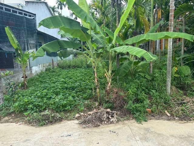 Đất nền Phú Nhuận, Duy Xuyên 125m² giá chỉ 500 triệu - Cơ hội đầu tư lý tưởng!