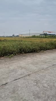 Đất nền thôn 6 Khánh Trung 135.5m² giá thỏa thuận - Lô đầu ve đẹp nhất khu