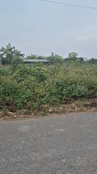 Đất nền liền kề Khánh Công Yên Khánh 110m² giá 800 triệu - Đường ô tô tránh nhau!