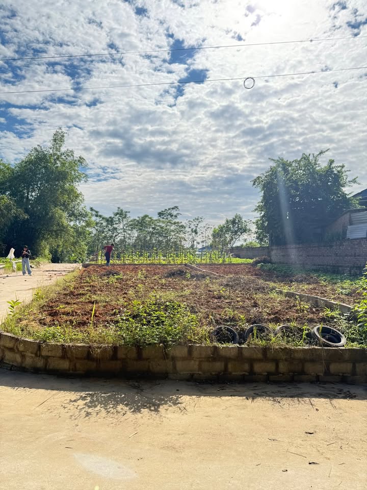 Đất nền phường Bách Quang, Sông Công 100m² giá chỉ từ 300 triệu - Đầu tư sinh lời cao!