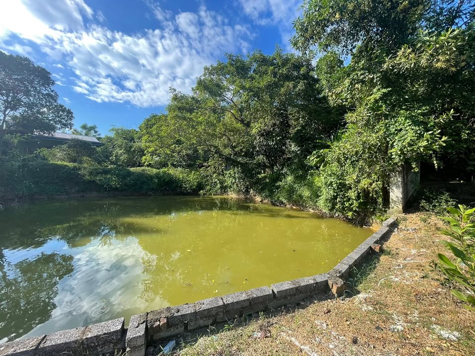 Đất thổ cư 400m² xã Cổ Lũng, Phú Lương - Giá chỉ 3 tỷ!