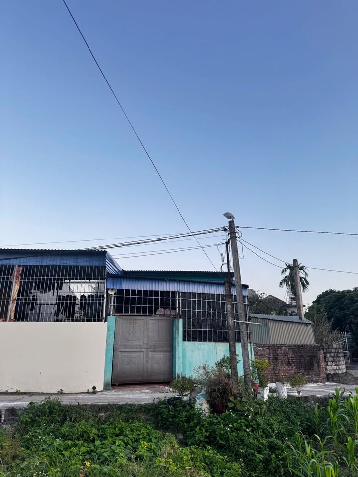 Nhà cấp 4 phường Quyết Thắng 100m² giá 1 tỷ - Full thổ cư, ô tô vào tận nơi!