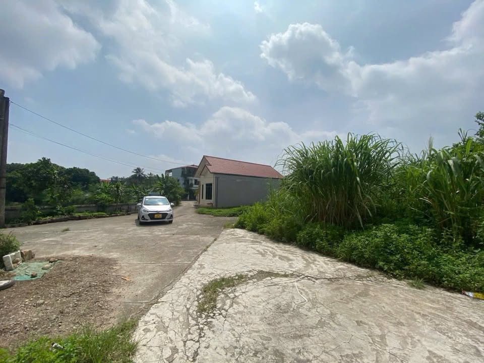 Đất thổ cư Quan Triều 100m² giá 1.8 tỷ - Đường ô tô vào tận nơi!