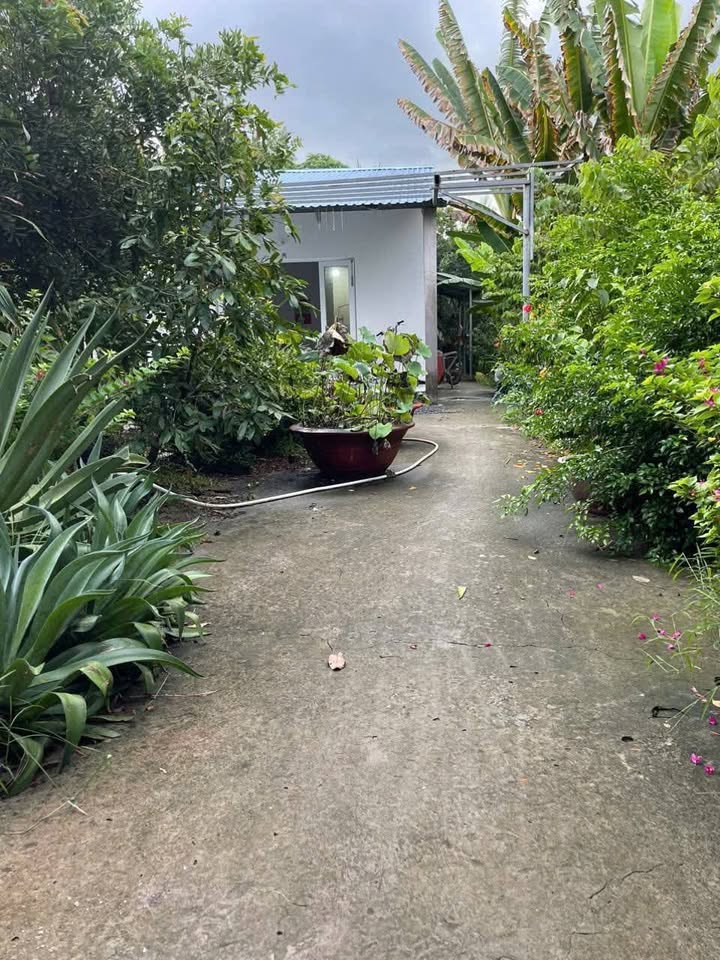 Đất vườn Hòa Tịnh, Chợ Gạo, Tiền Giang 2991m² - Đầu tư sinh lời tốt!