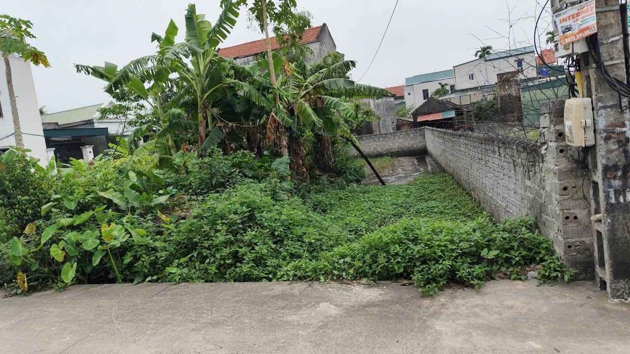 Đất nền Ninh Phúc 100m² - Chính chủ bán gấp, đường ô tô tránh nhau!