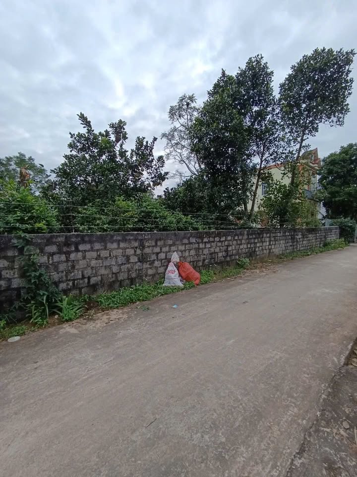 Đất nền Yên Sơn, Nho Quan 100m² chỉ 600 triệu - Cơ hội đầu tư tuyệt vời!