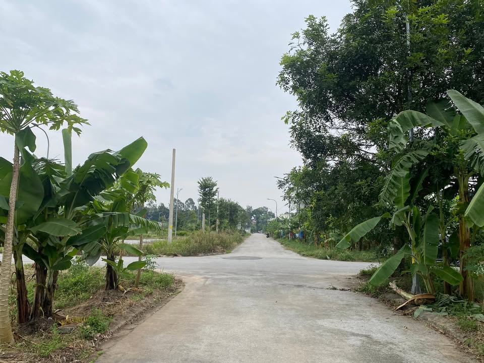 Biệt thự Kim Đôi Bắc Ninh 160m² giá 3x triệu/m² - Sổ hồng chính chủ!