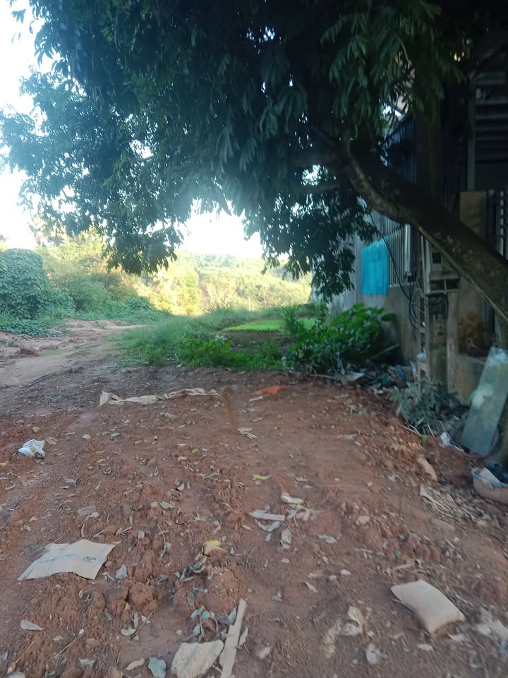 Đất mặt đường quốc lộ 2D, xã Phú Thịnh, 400m² chỉ 1 tỷ - Cơ hội đầu tư hấp dẫn!