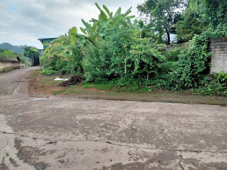 Lô đất đẹp phường Quán Triều, Thái Nguyên 195m² - Đầu tư sinh lời ngay!