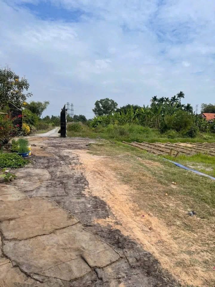 Đất nền chính chủ Hòa Khánh Đông 145m² giá 650 triệu - Sổ đỏ chính chủ sẵn sàng!