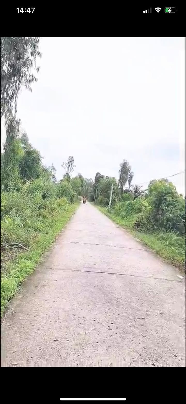 Đất vườn 3.800m² xã Lương Hòa, Bến Lức giá 3.2 tỷ - Sẵn sàng xây dựng!