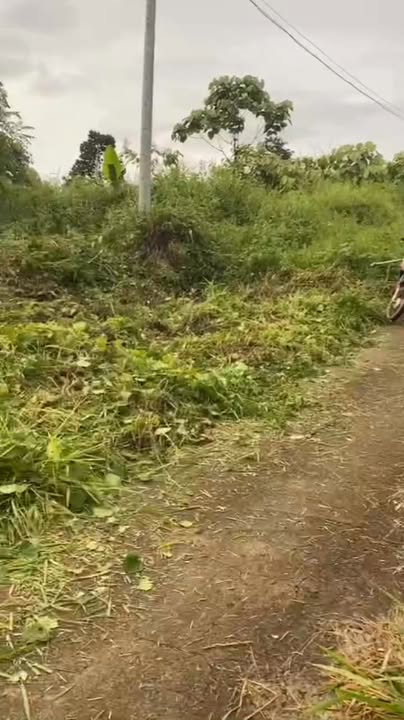 Đất nền Lộc Thành Bảo Lâm 1150m² giá chỉ 600 triệu - Đầu tư sinh lời ngay!