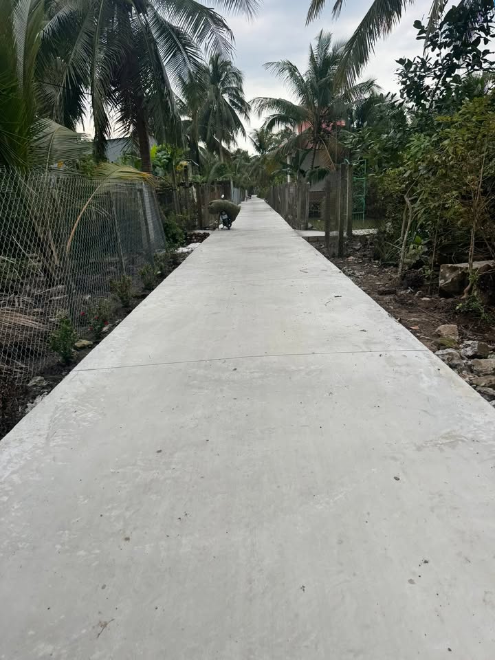 Đất nền Tân Hội, Cai Lậy 150m² giá chỉ 500 triệu - Cơ hội đầu tư lý tưởng!