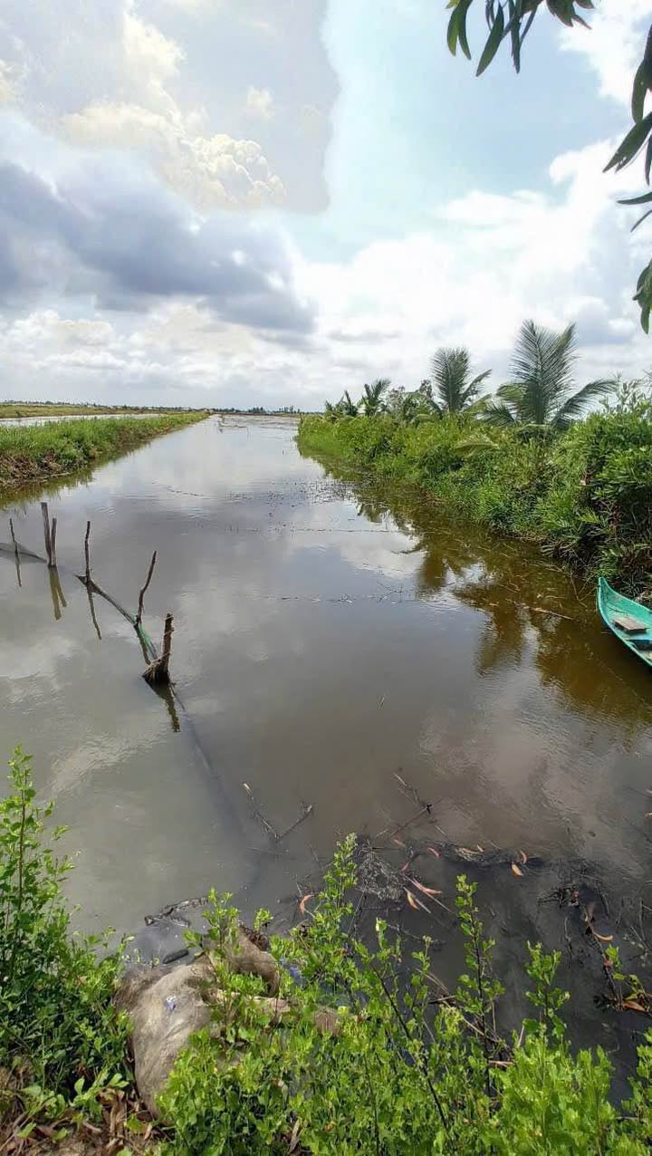 Đất vuông xã Nguyễn Phích, U Minh, Cà Mau 27.000m² giá 7.776 tỷ - Sổ hồng chính chủ!