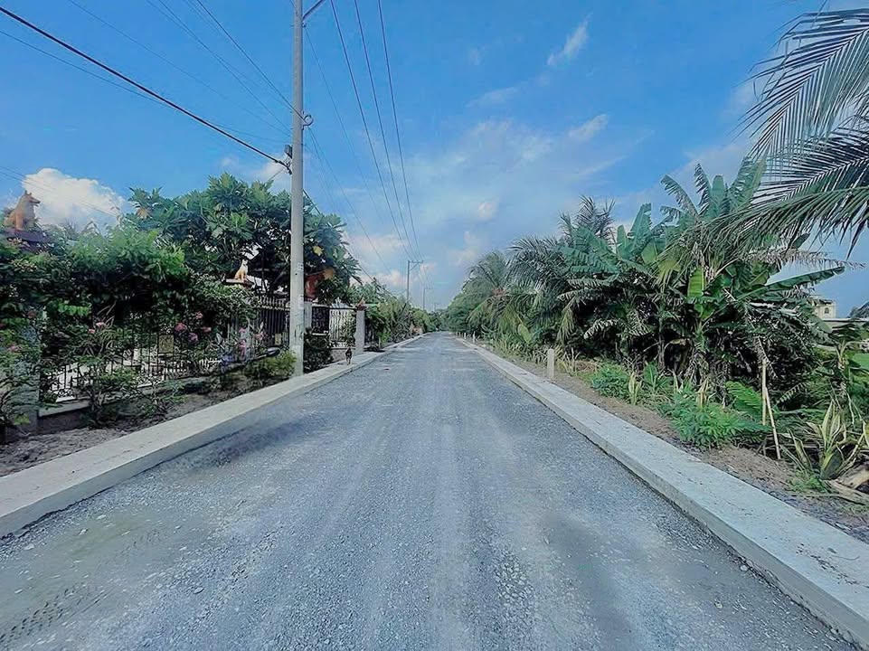 Đất vườn 1.000m² tại Bình Mỹ, Củ Chi chỉ 4.5 tỷ - Đầu tư sinh lời hấp dẫn!