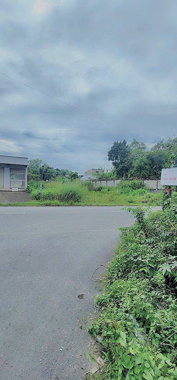 Đất mặt tiền Nguyễn Kim Cương, xã Tân Thạnh Đông, Củ Chi 1.000m² - Giá tốt cho đầu tư!