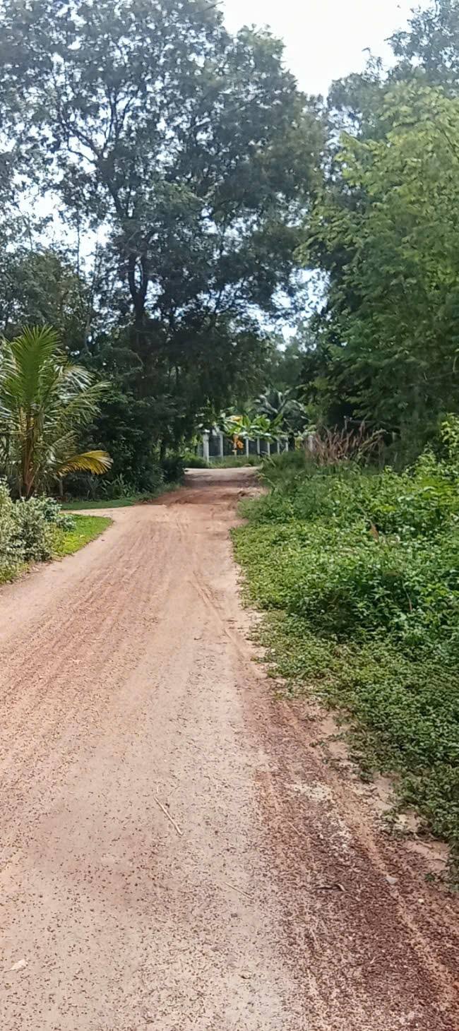 Đất Chánh Phú Hòa Bến Cát 3647m² - Tặng Nhà Đang Xây, Giá Tốt Nhất