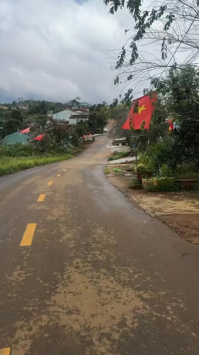 Đất nền Lý Thái Tổ, Kon Plông 224m² - Cơ hội đầu tư sinh lời!