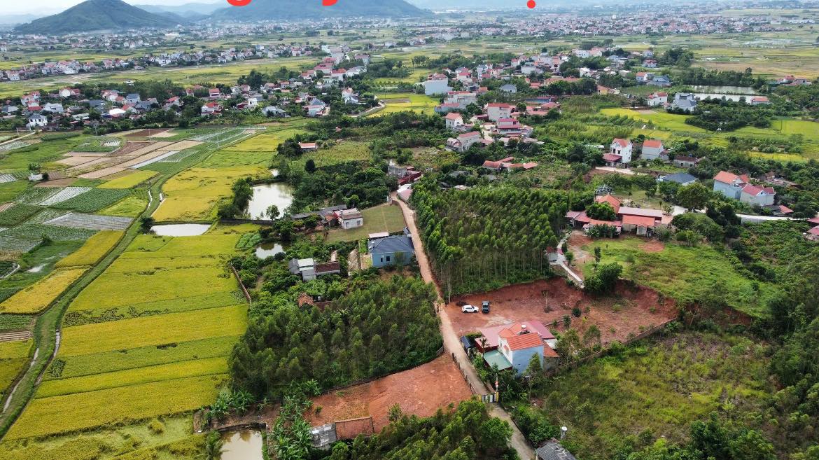 Đất nền Tam Dị Lục Nam 125m² giá chỉ 3xx triệu - Cơ hội đầu tư tuyệt vời!